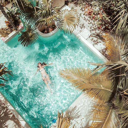 Hotel Buenavista Bacalar Jungle Experience ภายนอก รูปภาพ