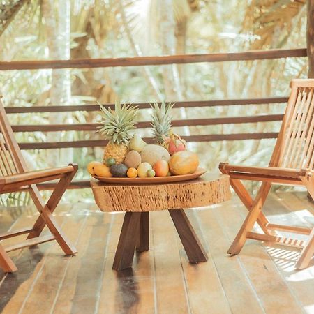 Hotel Buenavista Bacalar Jungle Experience ภายนอก รูปภาพ