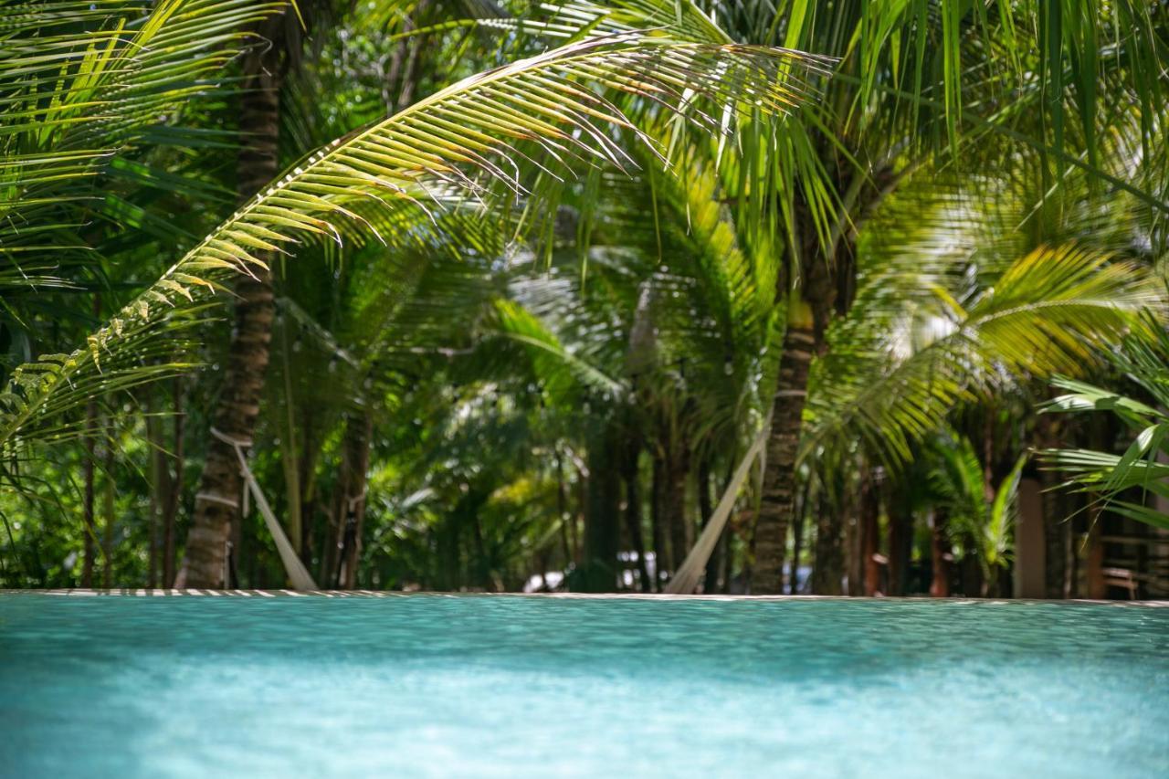 Hotel Buenavista Bacalar Jungle Experience ภายนอก รูปภาพ