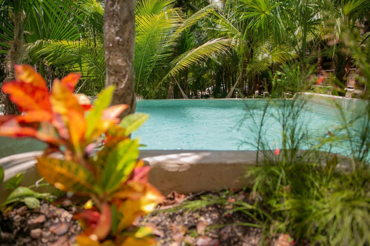 Hotel Buenavista Bacalar Jungle Experience ภายนอก รูปภาพ