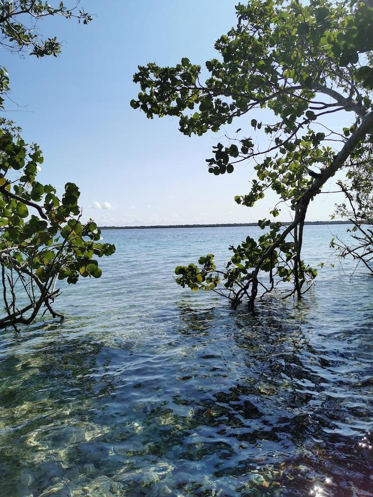 Hotel Buenavista Bacalar Jungle Experience ภายนอก รูปภาพ