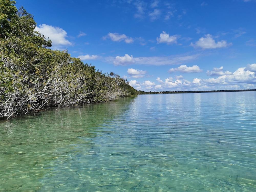Hotel Buenavista Bacalar Jungle Experience ภายนอก รูปภาพ